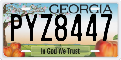 GA license plate PYZ8447
