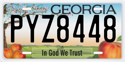 GA license plate PYZ8448