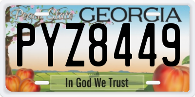 GA license plate PYZ8449