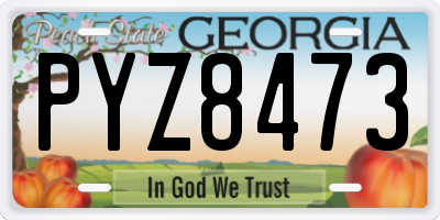 GA license plate PYZ8473