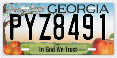 GA license plate PYZ8491