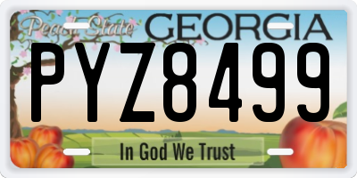 GA license plate PYZ8499