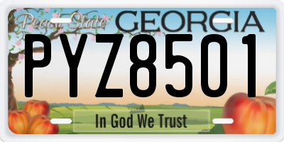 GA license plate PYZ8501