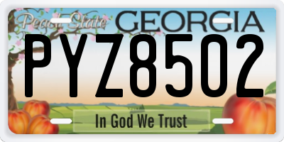 GA license plate PYZ8502