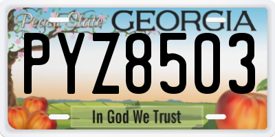 GA license plate PYZ8503