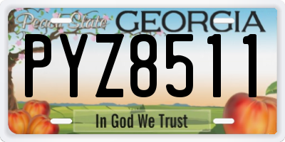 GA license plate PYZ8511