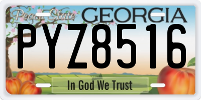 GA license plate PYZ8516