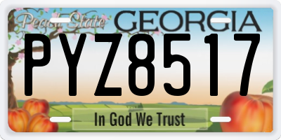 GA license plate PYZ8517