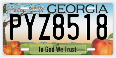 GA license plate PYZ8518