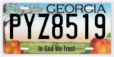 GA license plate PYZ8519