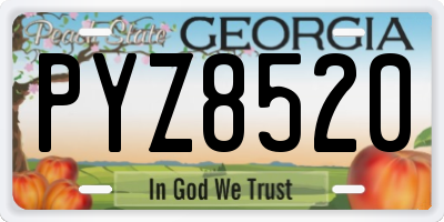 GA license plate PYZ8520