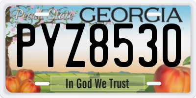 GA license plate PYZ8530