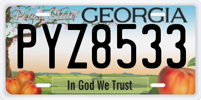 GA license plate PYZ8533