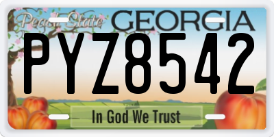GA license plate PYZ8542