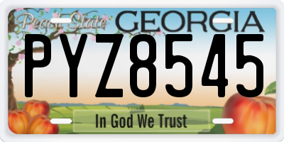 GA license plate PYZ8545