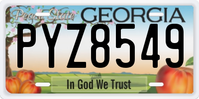 GA license plate PYZ8549