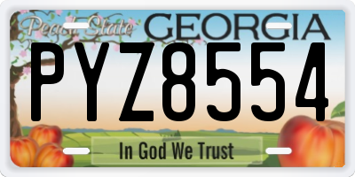 GA license plate PYZ8554