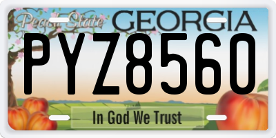 GA license plate PYZ8560
