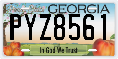 GA license plate PYZ8561