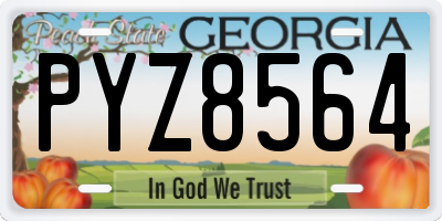 GA license plate PYZ8564