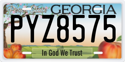 GA license plate PYZ8575