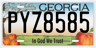 GA license plate PYZ8585