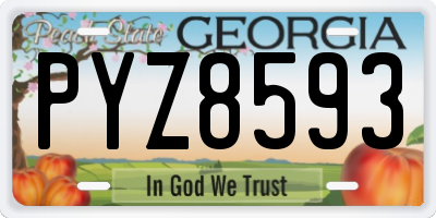 GA license plate PYZ8593
