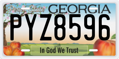 GA license plate PYZ8596