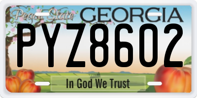 GA license plate PYZ8602