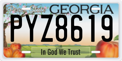 GA license plate PYZ8619