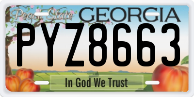 GA license plate PYZ8663