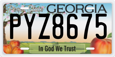 GA license plate PYZ8675