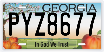 GA license plate PYZ8677