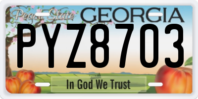 GA license plate PYZ8703
