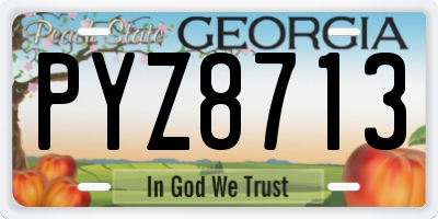 GA license plate PYZ8713