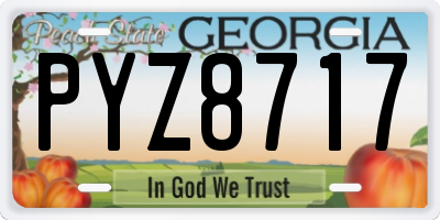 GA license plate PYZ8717