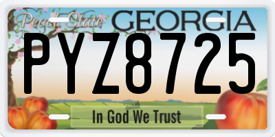 GA license plate PYZ8725