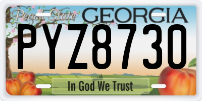GA license plate PYZ8730