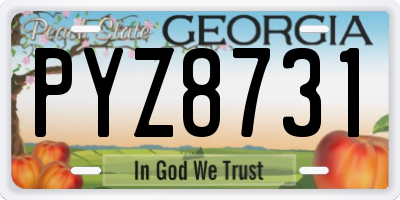 GA license plate PYZ8731