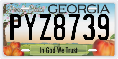 GA license plate PYZ8739