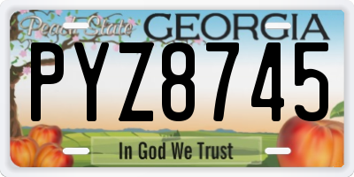 GA license plate PYZ8745