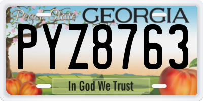 GA license plate PYZ8763
