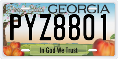 GA license plate PYZ8801
