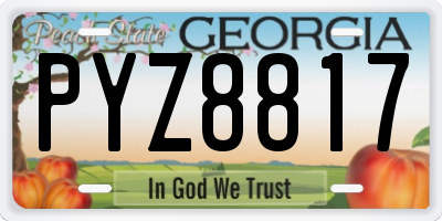 GA license plate PYZ8817