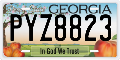 GA license plate PYZ8823
