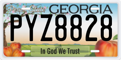 GA license plate PYZ8828