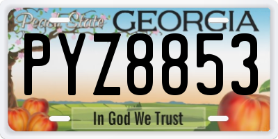 GA license plate PYZ8853