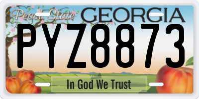 GA license plate PYZ8873