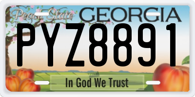 GA license plate PYZ8891