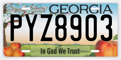 GA license plate PYZ8903